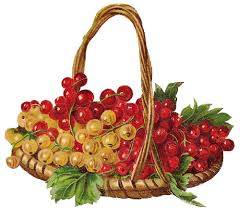 Tubes Victoriens Fruits Blog De L Ile De Kahlan Corbeille De Fruits Fruits Et Legumes Fruits