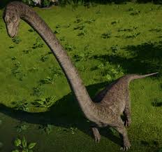 After fans wanted to see mosasaurus in jurassic world evolution 2, the marine reptile is here, and here's how to unlock it the fastest. Rwby Jp Dinosaur Profiles Mamenchisaurus By Sideswipe217 On Deviantart