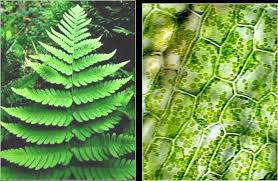 Maybe you would like to learn more about one of these? The Most Successful Economies Ecosystems Essays On Ecology And Economics