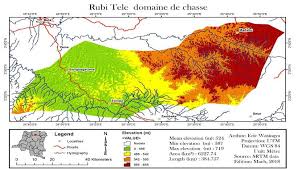 Image result for Leptonychia tokana