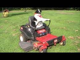 Border Collie Driving Zero Turn Lawn Mower By Herself Zero Turn Lawn Mowers Lawn Mower Border Collie