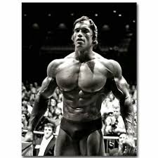 The mr some of arnolds sports and hobbies are: F 639 Arnold Schwarzenegger Bodybuilding Fitness Gym Poster 36 27x40in Art Print Ebay