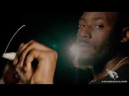 Cardinals Chronicles