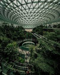 Singapore: Where Modern Meets Nature
                    