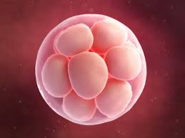 However, you can help when you become an egg donor at midwest fertility specialists (mfs).when you donate your eggs at our indiana egg donation center, you help make parenthood possible for women and men who might not otherwise have the opportunity. Thinking Of Becoming An Egg Donor 5 Things You Need To Know