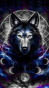 Super Wallpaper Galaxy Wolf Ideas Wolf Wallpaper Wolf Photos Galaxy Wolf
