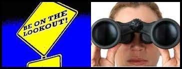 Is there a power outage in Altona Road, Greenbushes?