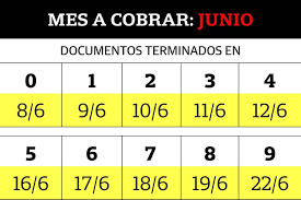 Tras el feriado puente, los pagos serán retomados el lunes 13 de julio para los dni finalizados en 5; Ife Anses Como Sigue El Calendario De Cobro Del Ingreso Familiar De Emergencia La Nacion