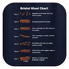 Amazon Com Thiswear Funny Doctor Gifts Bristol Stool Chart