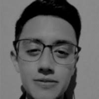 50+ "Diego Vivero" profiles