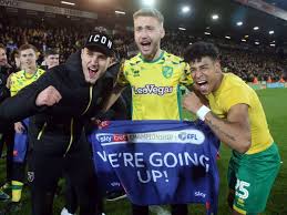 Пукки теему / teemu pukki. Norwich City Feiert Aufstieg In Premier League Mit Ex Werder Bremen Spielern Tom Trybull Und Onel Hernandez News