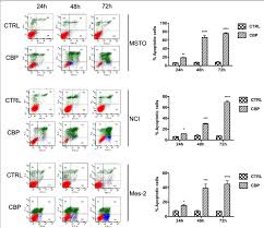 Keep in mind that nutritional needs and tastes can change during mesothelioma treatment. Cbp Treatments Induce Apoptosis In Mesothelioma Cells Facs Analysis By Download Scientific Diagram