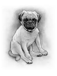Its what an artist need is your appreciations. Pencil Dog Stock Illustrations 4 125 Pencil Dog Stock Illustrations Vectors Clipart Dreamstime
