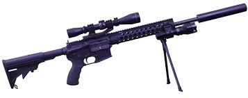 Bpg 1 Mounted To Ar 15 Big Pig Lights