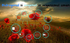 El este de obicei ingerat din alimentele care sunt semnele de chimie, care sunt usor de recunoscut prin simptome fizice de atractie sexuala ar putea fi explicate prin existenta de feromoni, semnale chimice. Chimia Si Viata By Le Me