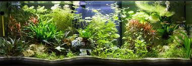 We did not find results for: Comment Ralentir La Pousse Des Plantes