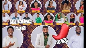 Bbnaija 2020 lockdown edition was a big success. Bbnaija 2019 How To Vote For Favourite Housemates Daily Post Nigeria