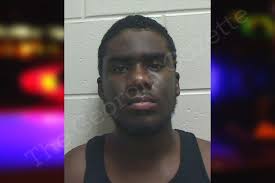 Victor Burse — Bulloch County Jail Bookings