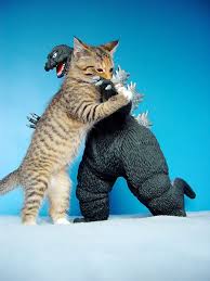 pic cat vs godzilla pic gear niedliche tierbilder susseste haustiere katzen
