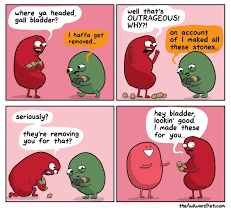 This saying suggests that known imperfection is better than idealizing a future alternative that may not be too good at all. Funny Or Die Funny Sayings Kidney Stones