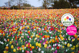 Load the map to see the results, or use a list below. Spring Burnside Farms