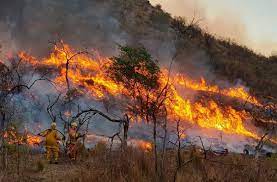The 2020 colorado wildfire season was a series of significant wildfires that burned throughout the u.s. Siguen Los Incendios En Cordoba Se Contuvo En Carlos Paz Pero Otros Estan Activos