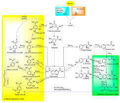 Publicat de nyck88 la 00:41. Biomolecules Free Full Text Advances And Prospects Of Phenolic Acids Production Biorefinery And Analysis Html