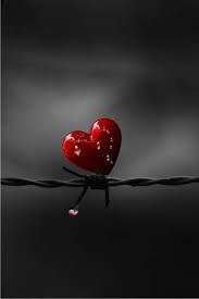 Passion Change Everthing Heart Pictures Heart Images Heart Wallpaper