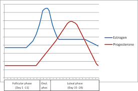 1 Estrogen And Progesterone Levels Over The Menstrual Cycle