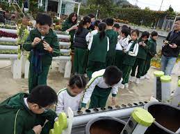 初體驗水耕方法及技巧