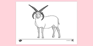 These sheep coloring pages are perfect for future farmers and animal lovers in general. Free Sheep Colouring Sheet 6 Colouring Sheets