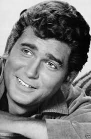 11 Michael landon ideas
