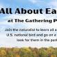 Lake Guntersville State Park: All About Eagles event in Guntersville, AL