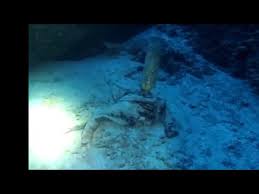 Mystery Taking Young Divers their Deaths