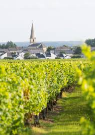 5,6km de saint nicolas de bourgueil. Aoc St Nicolas De Bourgueil Vin Rouge Rose Du Val De Loire Vins Du Val De Loire