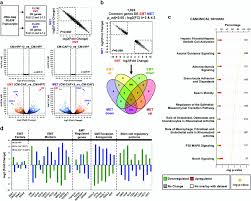 Global Transcriptional Profiling During Emt And Met