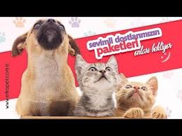 Sokak Hayvanlari Icin Ucretsiz Mama Almak Ister Misiniz Youtube