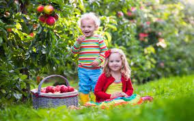 They are a the ovaries of flowering trees turn into fleshy, dry, or ripe fruits. Does All Fruit Grow On Trees Wonderopolis