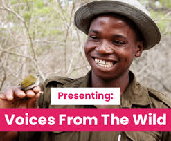 New tree species discovered in EcoMinga reserve