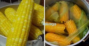 We did not find results for: Kalau Nak Rebus Jagung Kena Tahu 6 Tip Ni Supaya Kekal Lembut Tak Kecut Dan Masak Sempurna Keluarga