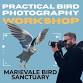 Bird Photography Workshop event image