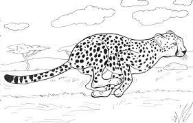 Download or print for free from the site. Cheetah Running Coloring Page Free Printable Coloring Pages Animal Coloring Pages Zoo Animal Coloring Pages Puppy Coloring Pages