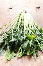 Gourmandises Vegetariennes Cicoria Catalogna Salat Mit Warmem Kartoffeldressi Kartoffeldressing Salat Mit Salat