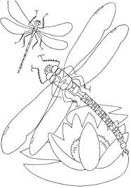 Frontpage Showcase Super Coloring Insect Coloring Pages Free Coloring Pages Kids Printable Coloring Pages