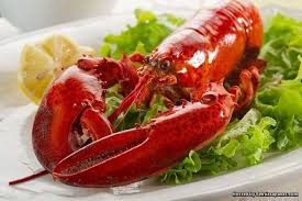 Check spelling or type a new query. 4 Khasiat Lobster Udang Kara Air Tawar Untuk Kesihatan Sentiasa Panas