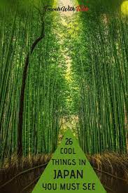 Because they were able to see this world from a different angle. (like stars on earth). 27 Cool Things In Japan You Must See Travels With Talek Asia Destinations Travel Destinations Asia Japan Itinerary