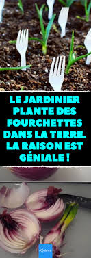 Le Jardinier Plante Des Fourchettes Dans La Terre La Raison Est Geniale Des Astuces Printanieres Pour Un Joli Potager Facile Jardin Facile Jardin De Legumes