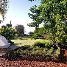 Like A Pleasent Thought Our Labyrinth Is Growing Maze Labyrinth Gardendetails Gardener Gardensigner Garden Paisaj Labyrinth Garden Photography