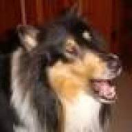 Image result for tbn:PNJpwmQWYhRSEM::forum.mn66.com/imgcache/3566.imgcache