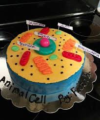 Maybe you would like to learn more about one of these? Animal Cell Cake Cells Project Animal Cell Project Animal Cell